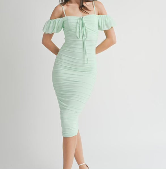 Mesh rushed dress with off shoulder sleeves