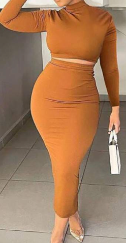 Long Sleeve Crop Top High Waist Skirt Set